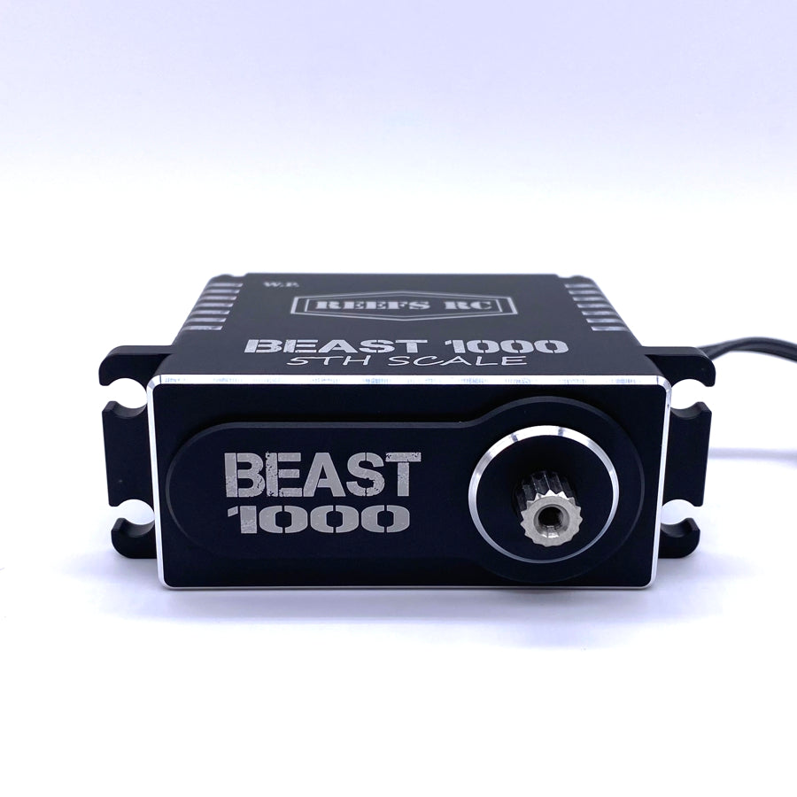 Reefs RC Beast 1000 1/5th Scale Servo