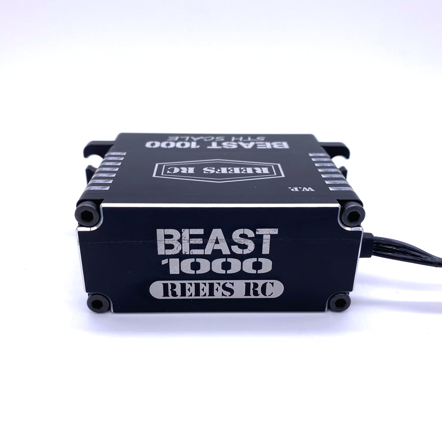 Reefs RC Beast 1000 1/5th Scale Servo