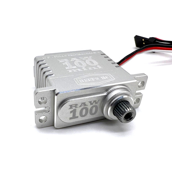 Reefs RC RAW100 MINI Servo (silver)
