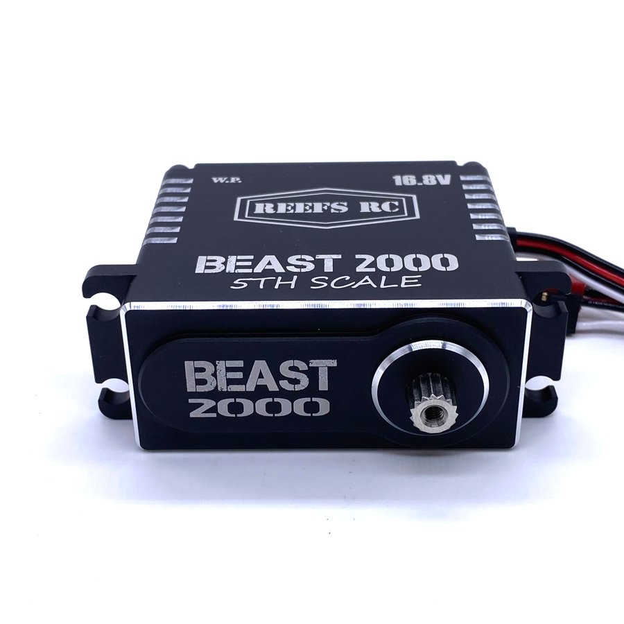 Reefs RC Beast 2000 1/5th Scale Servo