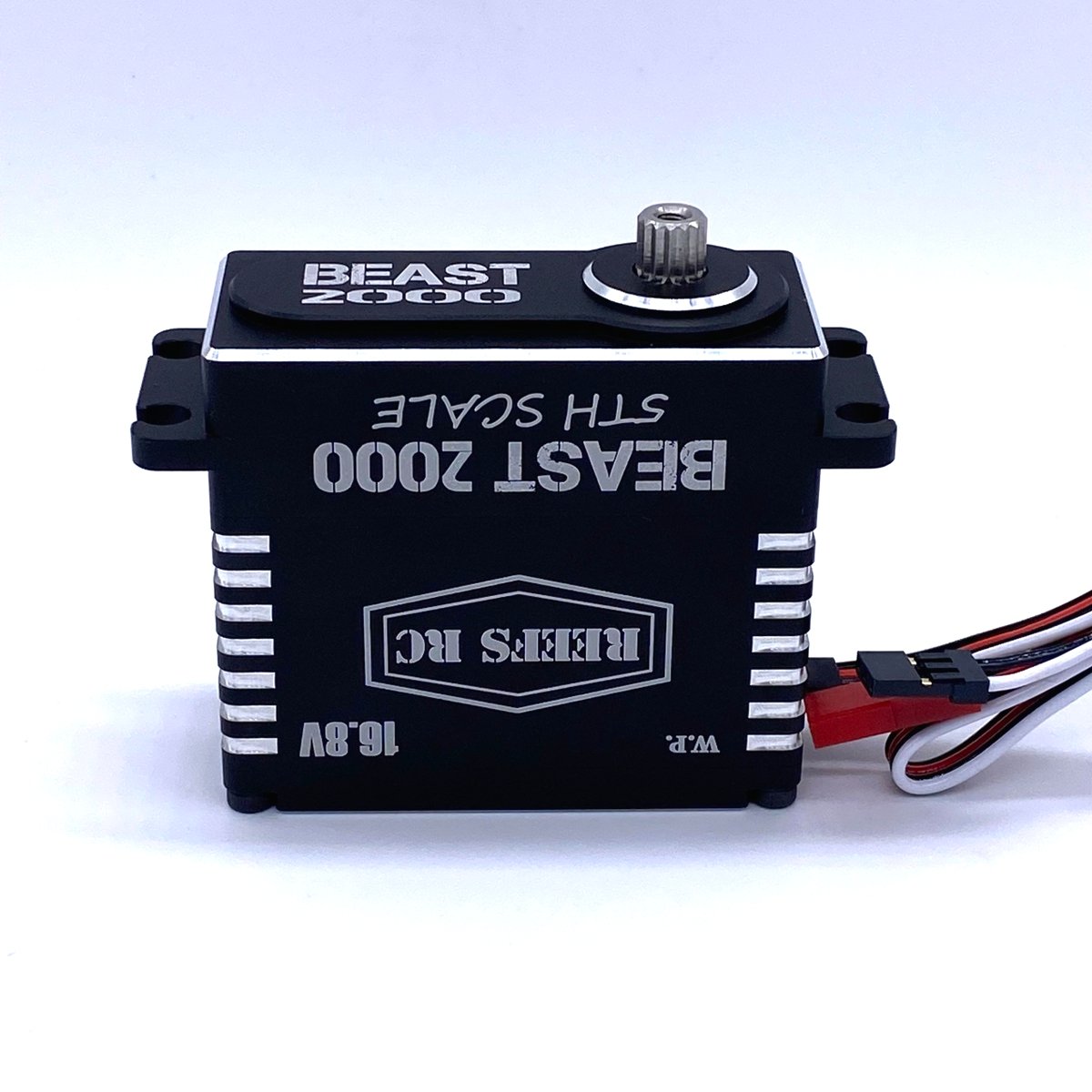 Reefs RC Beast 2000 1/5th Scale Servo